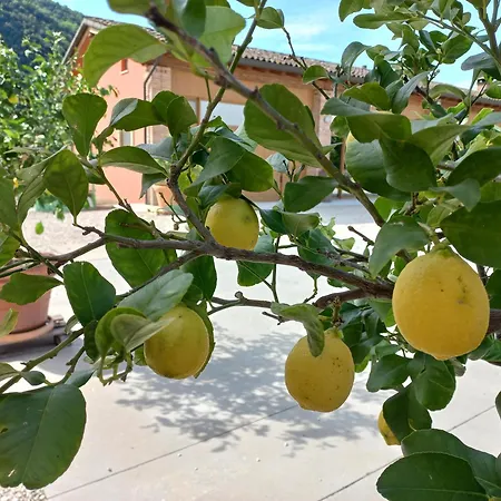 Agri-alloggio le Poscole Al Canton-3